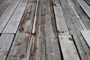 Brown rot - Deck Builders College Station TX